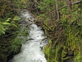 Falls Creek Falls