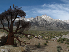 USA Westen 2011 3137 Alabama Hills near Lone Pine