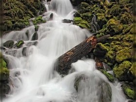 Falls Creek Falls