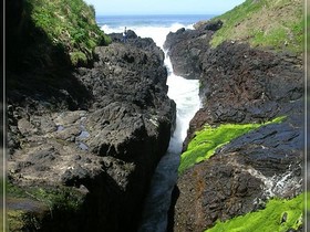 Cape Perpetua