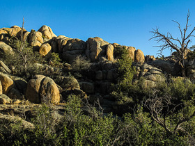 USA 2013 - 7927 - Watson Dam Trail Panorama5