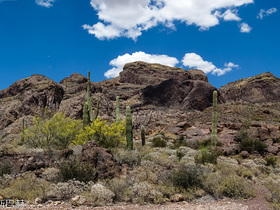 USA 2013 - 0372 - Organ Pipe Panorama